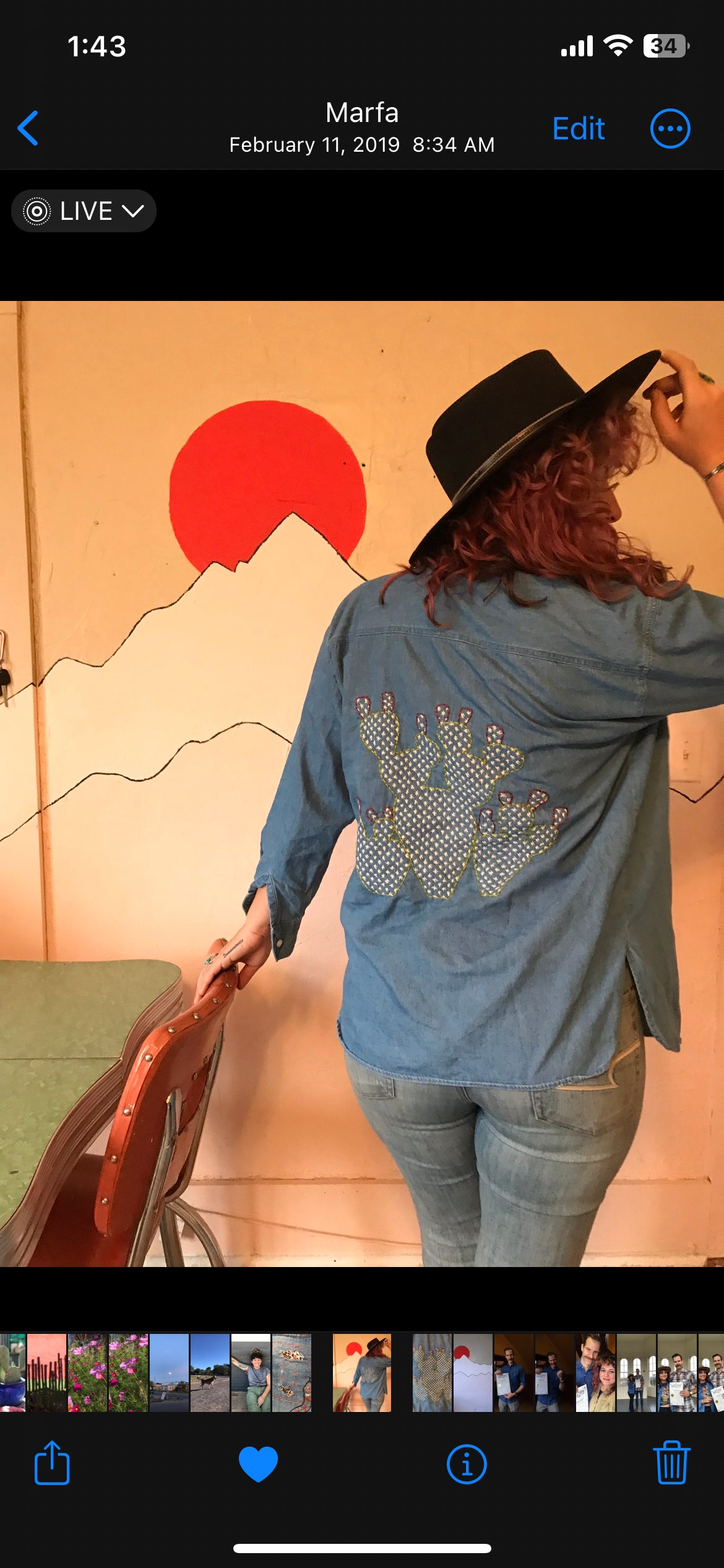 Stick ‘n Stitch Visible Mending Prickly Pear