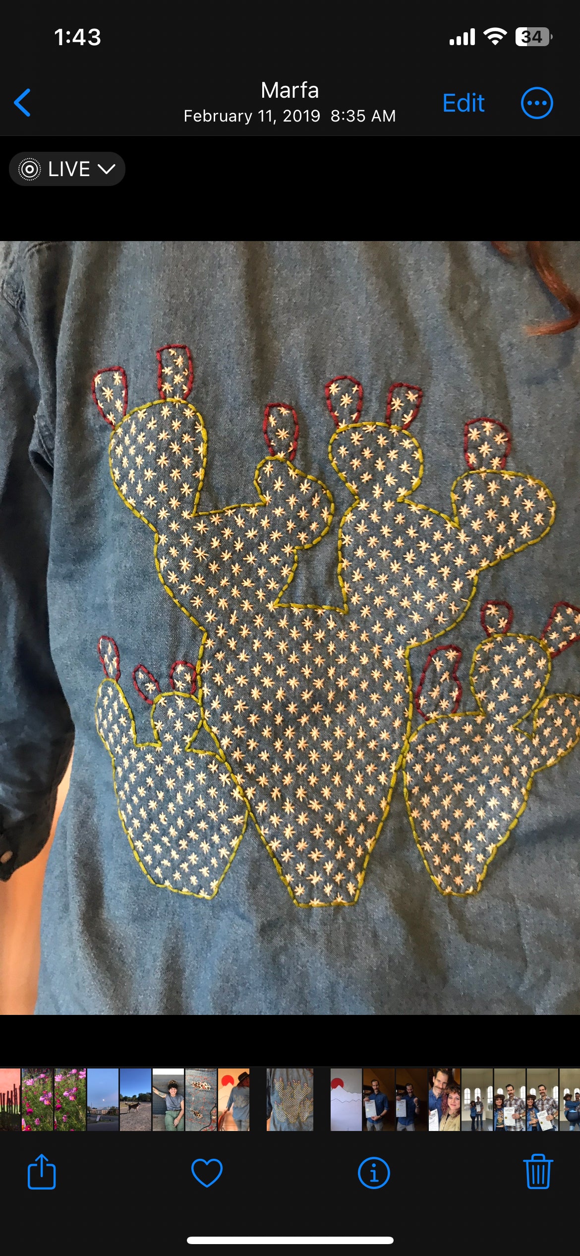 Stick ‘n Stitch Visible Mending Prickly Pear